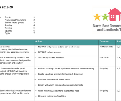 Strategy & Action plan screenshot